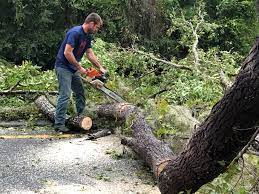 Mulching Services in West Bishop, CA